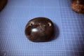 Rounded Fossil Edge (STO026)