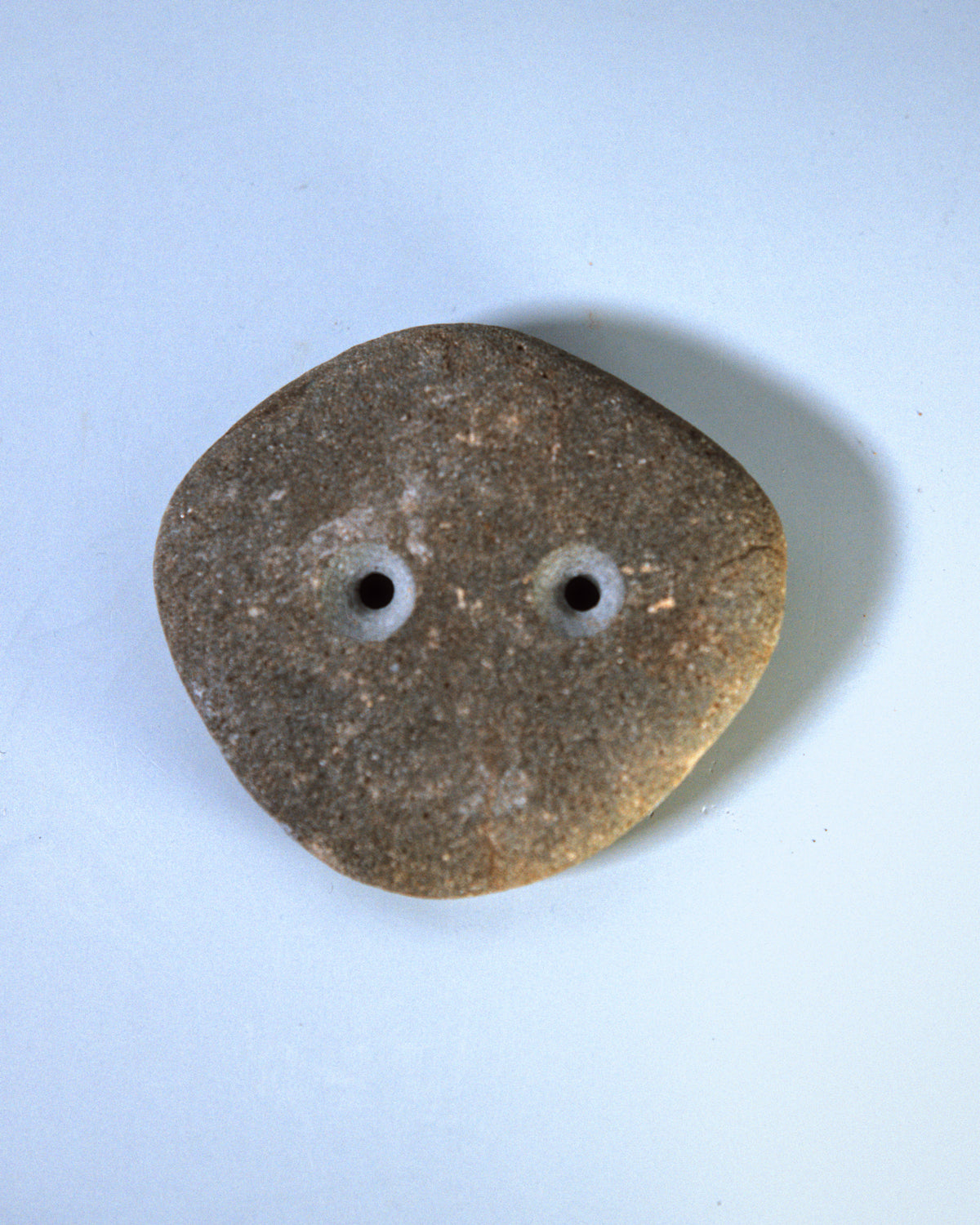 Small Coastal Crimp (STO032)