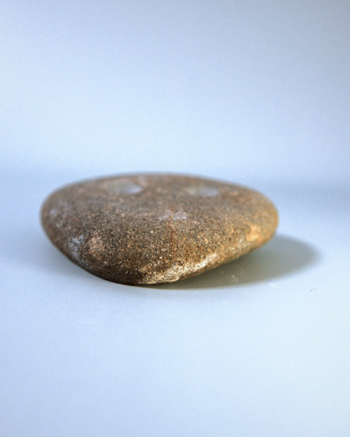 Small Coastal Crimp (STO032)