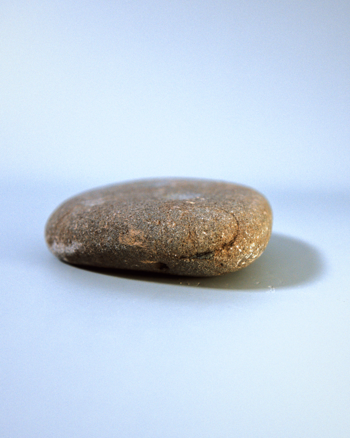 Small Coastal Crimp (STO032)