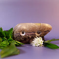Small Limestone Crimp (STO007)